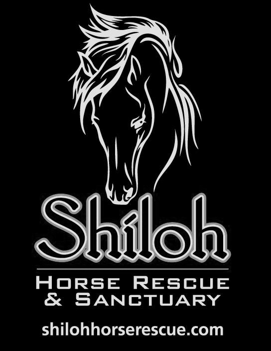 shiloh horse rescue